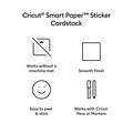 Smart Paper&trade; Sticker Cardstock Sampler, Neutrals - 13 in x 25 in (20 ct)