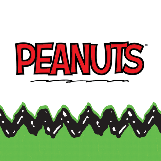 Peanuts&trade; Holiday Digital Mystery Box